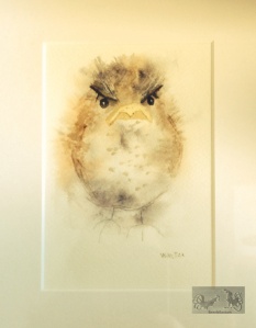 watercolor of a robin signed "Wooster"