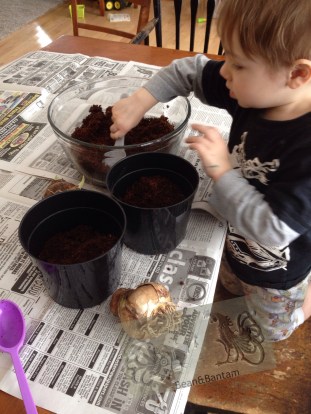 Ask your child to help you spoon potting mix into the pot until each pot is about 2/3 full.  Remember to thank your child for helping, and to praise them for doing such a good job helping.  