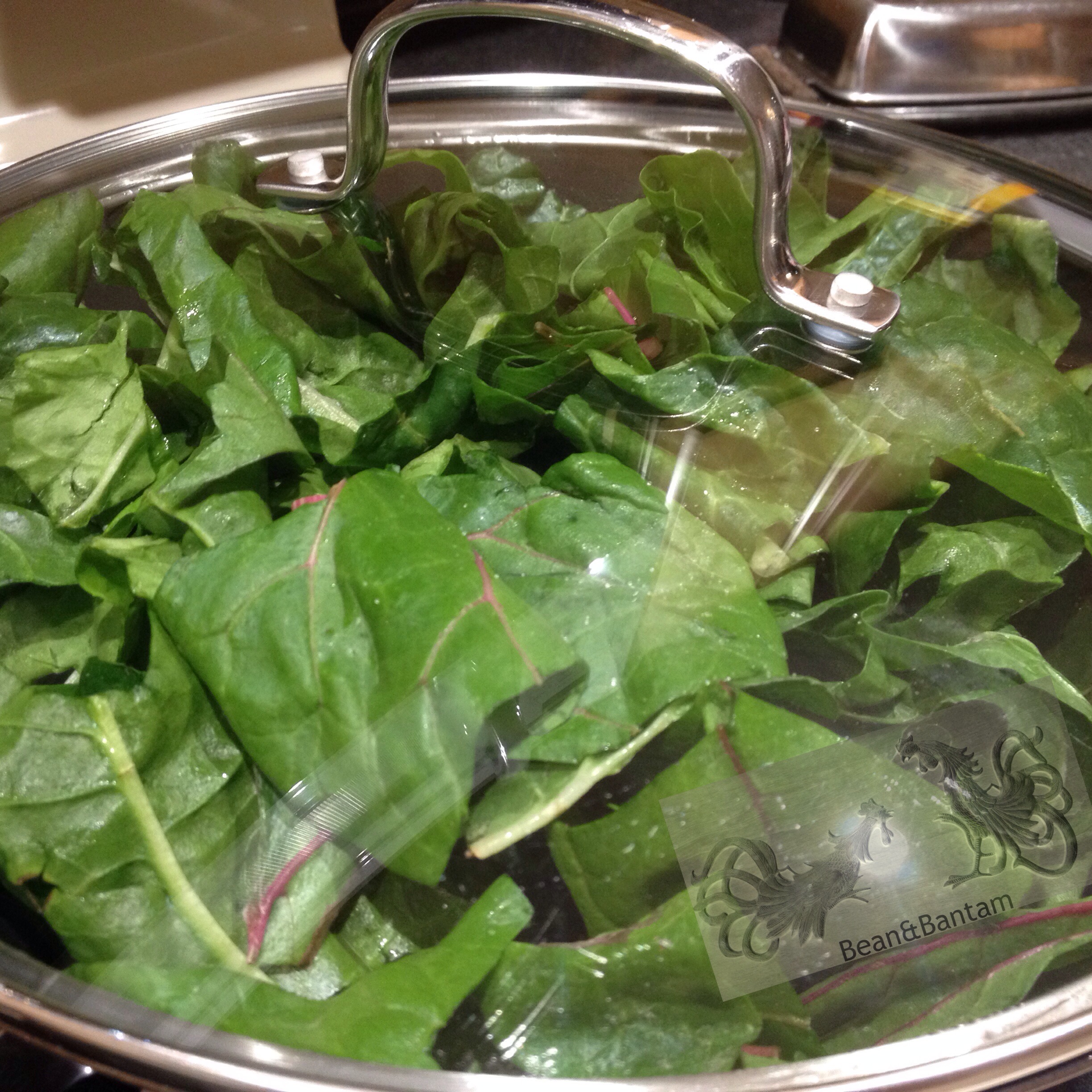 Chard greens barely cooked, with lid