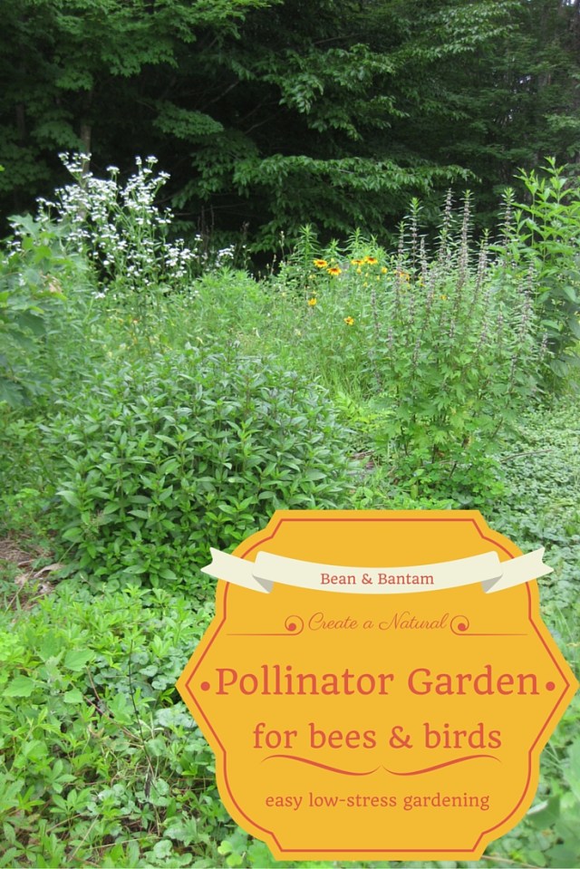 Create a natural pollinator garden for the bees & birds; an easy low-stress gardening method of cultivating and creating a new garden that helps wild pollinators like birds and bees, provides them with habitat and pollen and nest areas. Bean & Bantam blog post about how I created my own pollinator garden.