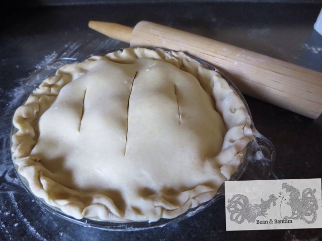 Make pie from scratch: crust made from real butter is better, and easy to make. Recipe at Bean & Bantam.
