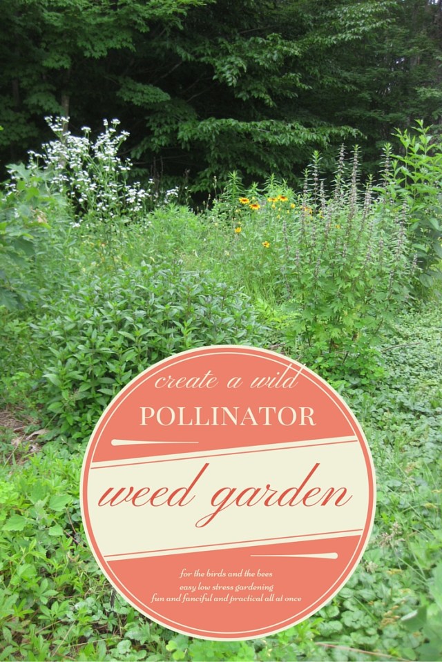 Create a natural pollinator garden for the bees & birds; an easy low-stress gardening method of cultivating and creating a new garden that helps wild pollinators like birds and bees, provides them with habitat and pollen and nest areas. Bean & Bantam blog post about how I created my own pollinator garden.