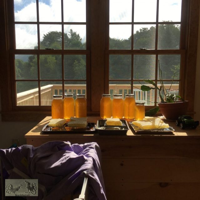 summer honey in jars and comb honey all rights reserved Bean & Bantam